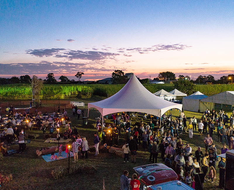 Festival in the cane fields